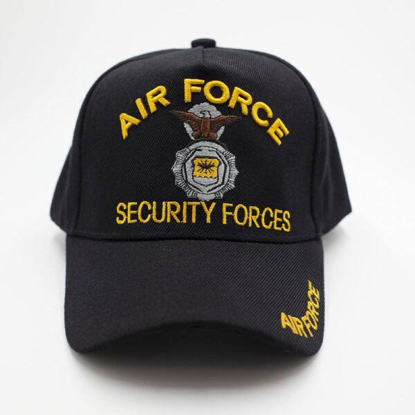 Air Force Hat-1